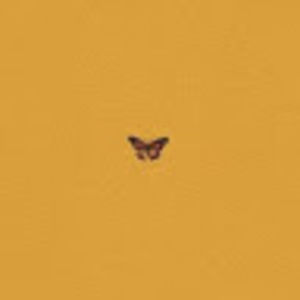 Meet your Posher, Mariyah